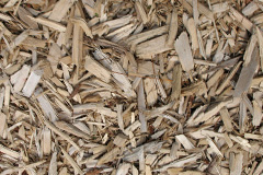 biomass boilers Llanddewi