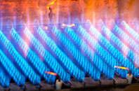 Llanddewi gas fired boilers